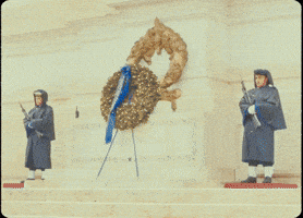 Prince George Pg GIF by IDK