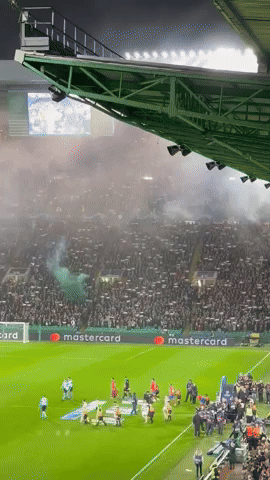 Palestinian Flags Wave in Stands at Celtic Park, in Defiance of Club Request