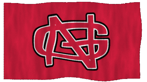 Athletics Crusader GIF by North Greenville University