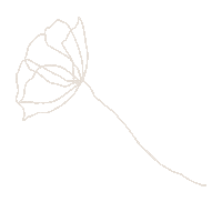 Flower Jewelrydesign Sticker by eves_jewel