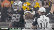 National Football League GIF by NFL