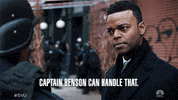 Episode 12 GIF by Law & Order