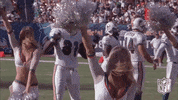 Miami Dolphins Dancing GIF by NFL