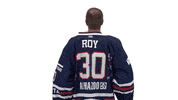 Hockey Ice GIF by Fehervar AV19