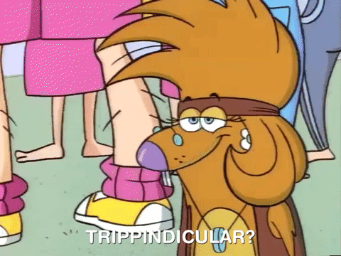 nickrewind giphydvr nicksplat angry beavers giphyab013 GIF