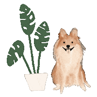 Dog Hawaii Sticker by Andrea Caceres