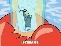 season 5 new digs GIF by SpongeBob SquarePants