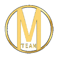 onemillionteam logo team networking million Sticker
