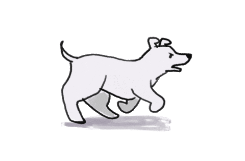 Dog Running Sticker by HONNE