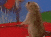 GIF by FirstAndMonday