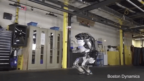 tulsimo giphygifmaker GIF