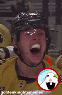 Vegas Golden Knights GIF