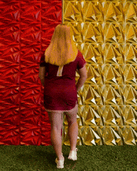Elon Womens Lacrosse GIF by Elon Phoenix