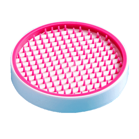 fun makeup Sticker by sigmabeauty