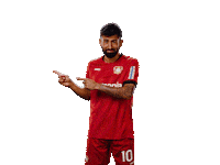 Bayer 04 Werkself Sticker by Bayer 04 Leverkusen