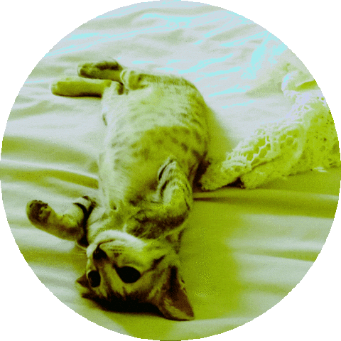 Sticker by ellaknor