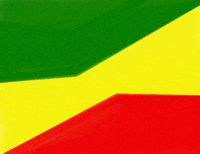 Black History Month GIF by brazaaudio