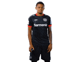 Bayer 04 Smartphone Sticker by Bayer 04 Leverkusen
