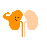 Awareness Sticker by Kidney Cancer Association
