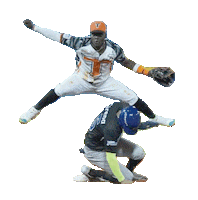 Torolio Sticker by Toros Del Este