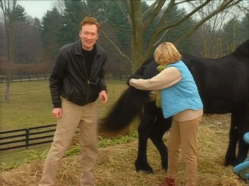 martha stewart conan obrien GIF by Team Coco