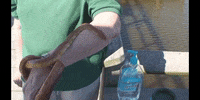 Water Wtf GIF by DIIMSA Stock
