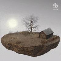 Food And Agriculture Organization Disasters GIF by FAO