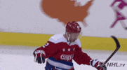 happy ice hockey GIF by NHL