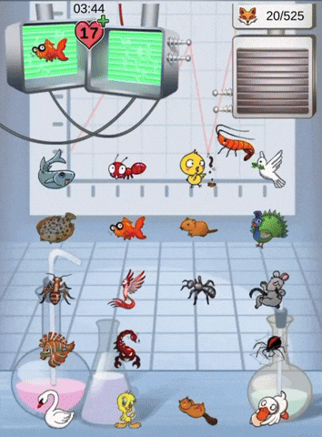 ibizza giphyupload GIF