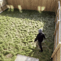 Ddilimted GIF by DannyDidit LTD