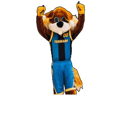 TornadoBS giphygifmaker basketball tornado kaunas Sticker