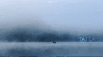 Natural Beauty Lake GIF