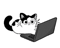 Cat Sticker by meowbox