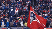 Football Waving GIF by New England Patriots