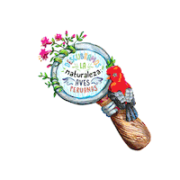 artesco_oficial naturaleza lupa artesco wkcd Sticker