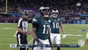 super bowl lii football GIF by NFL