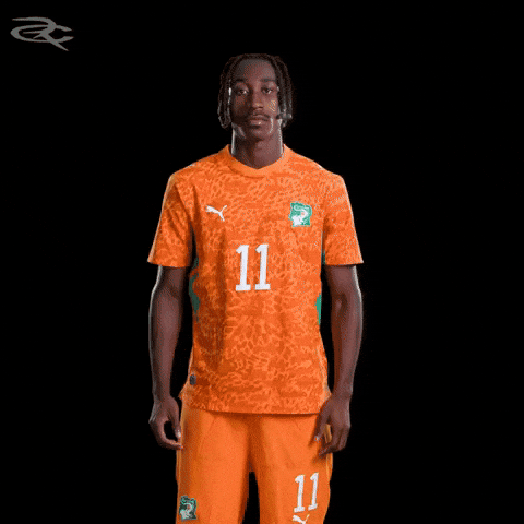 Fifa World Cup Elephants GIF by Respective