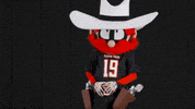TexasTechRedRaiders texas tech red raiders raider red GIF