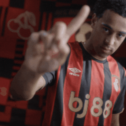 Premier League No GIF by AFC Bournemouth
