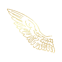 Angel Wing Sticker by Baky Hospitality