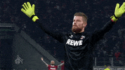 football soccer GIF by 1. FC Köln