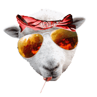 Party Animal Yes Sticker
