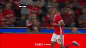 Celebrate Sl Benfica GIF by Sport Lisboa e Benfica