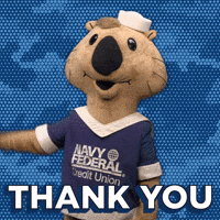 Navy Federal GIF by Navy Federal Credit Union