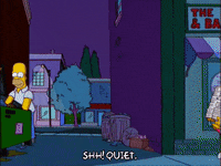 homer simpson GIF