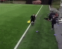 Wow Omg GIF by JustViral