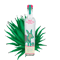 Burrito Mezcal Sticker by Maguey Spirits