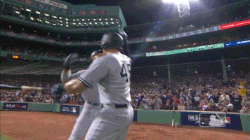 new york yankees sport GIF by MLB