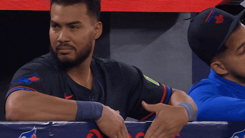 Blue Jays Baseball GIF by Toronto Blue Jays