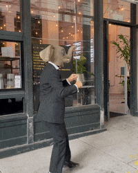 GIF by Dumbo, Brooklyn